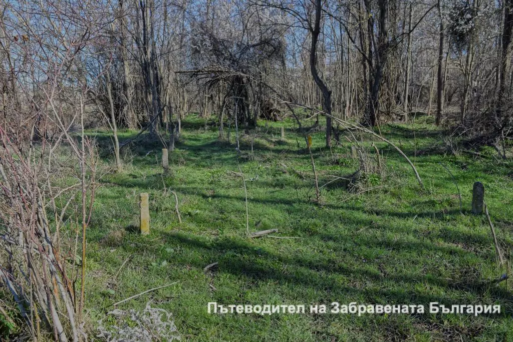 Сив кладенец