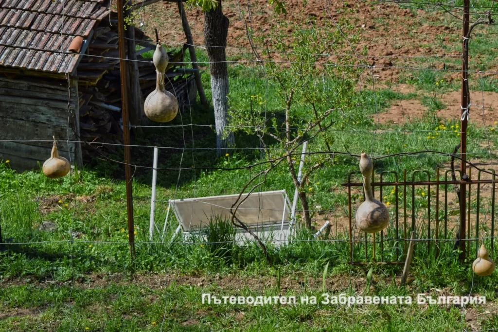 Кратуни