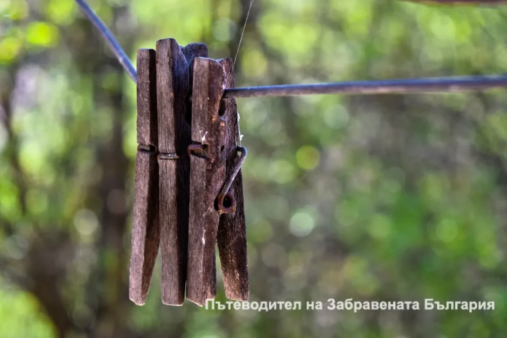 Просторът на живота