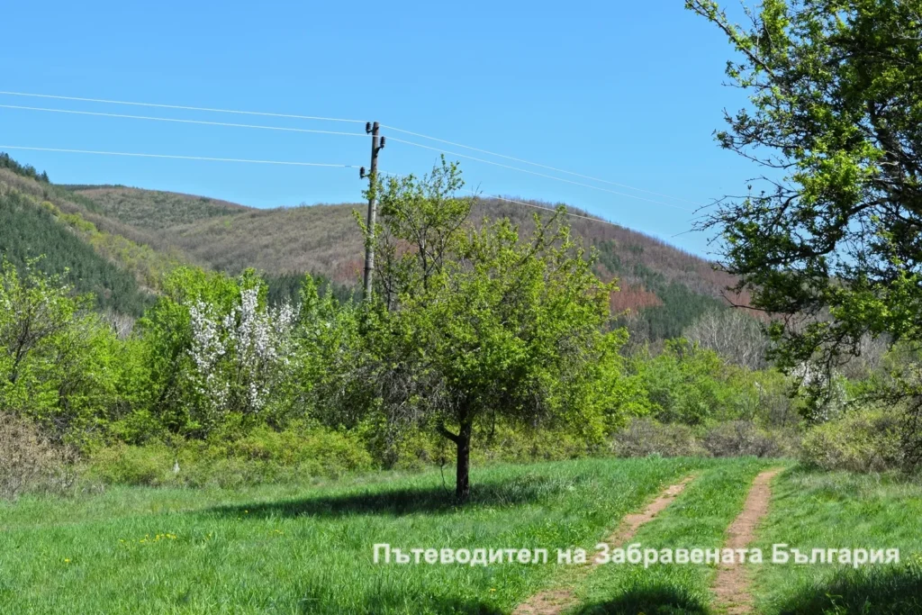 По пътя обратно към село Пещера