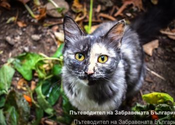 ‘Човекът е ценност, която трудно се създава и с нищо не може да се замени!’ ЧАСТ 2