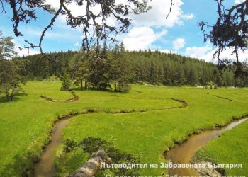 Меандрите на река Рибна