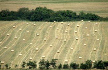 Див, красив, свободолюбив северозапад (Част 1)