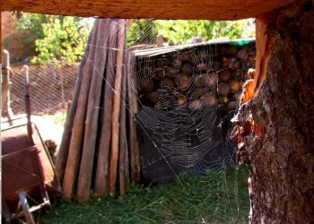 Шуляница – бродещите сенки от миналото