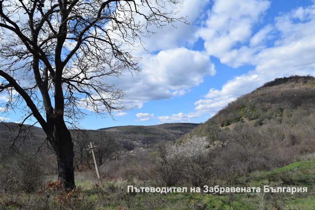Заставата на Одринци / Сив кладенец 