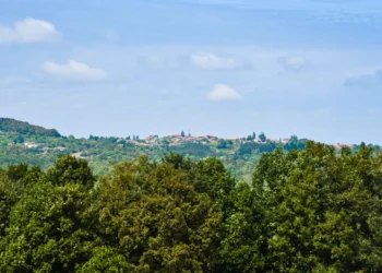 [Част Шеста] Многоликата Странджа – планина на стихии, трудности и много мистерии (Гората на стихиите – с. Граматиково)